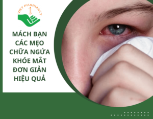 meo-chua-ngua-khoe-mat-thumbnail