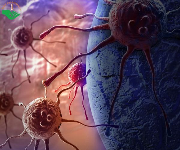 Những nhóm ung thư mà nấm lim xanh có tác dụng điều trị