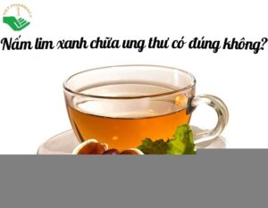 nam-lim-xanh-chua-ung-thu-thumbnail