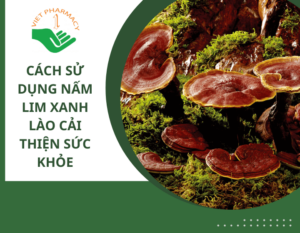 nam-lim-xanh-lao-thumbnail