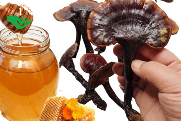 Nấm lim xanh ngâm mật ong có tốt không?