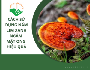 nam-lim-xanh-ngam-mat-ong-thumbnail