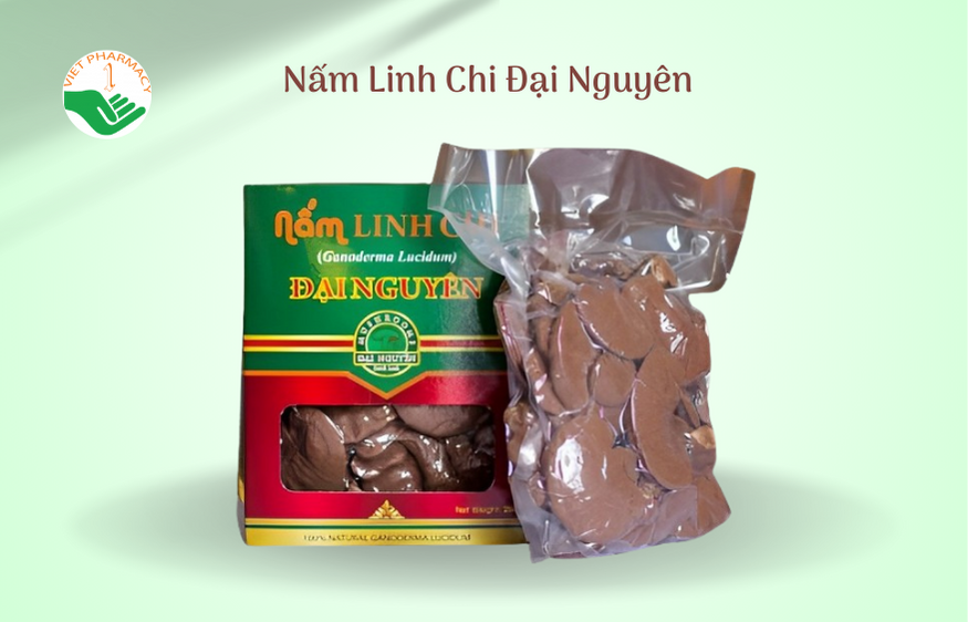 Nấm Linh Chi Đại Nguyên
