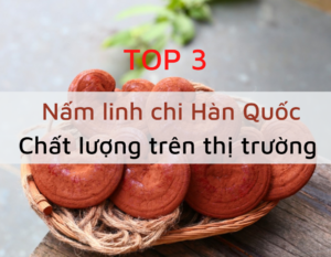 nam-linh-chi-han-quoc-chat-luong