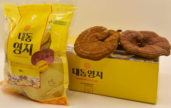 Nấm linh chi Hàn Quốc Daedong Lingzhi