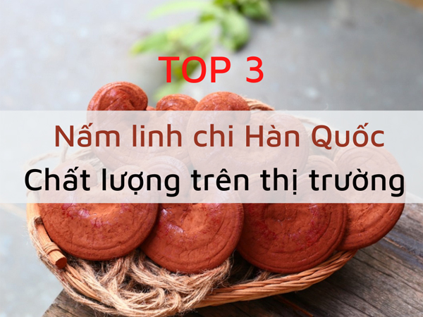 Top 3 nấm linh chi Hàn Quốc chất lượng trên thị trường
