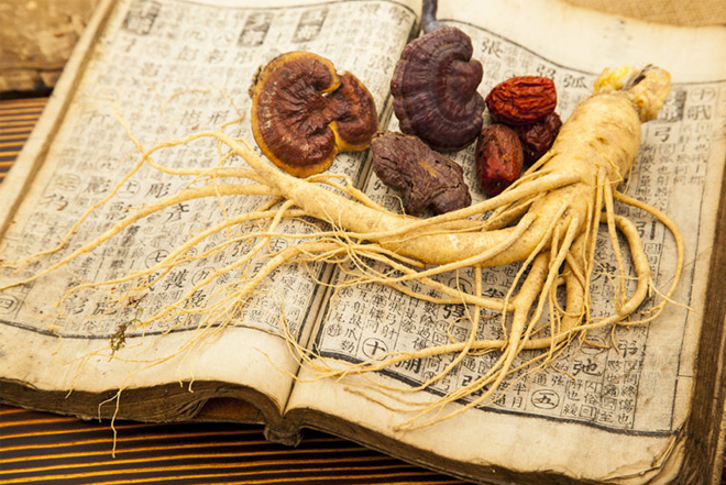 Phối hợp nấm linh chi và nhân sâm để ngâm rượu