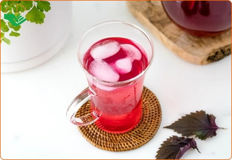 Uống nước tía tô có trắng da không?