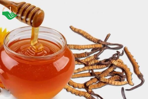 Ngâm mật ong với đế đông trùng giúp cải thiện chất lượng sức khỏe