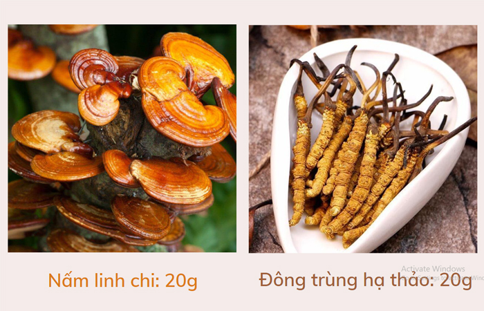 Nguyên liệu để ngâm rượu đông trùng hạ thảo với nấm linh chi
