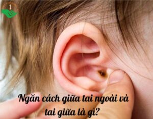 ngan-cach-giua-tai-ngoai-va-tai-giua-la-thumbnail