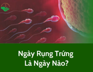 ngay-rung-trung-la-ngay-nao