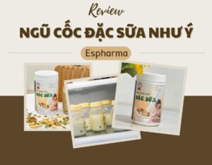ngu-coc-dac-sua-nhu-y