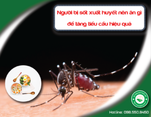 nguoi-bi-sot-xuat-huyet-nen-an-gi-de-tang-tieu-cau-hieu-qua
