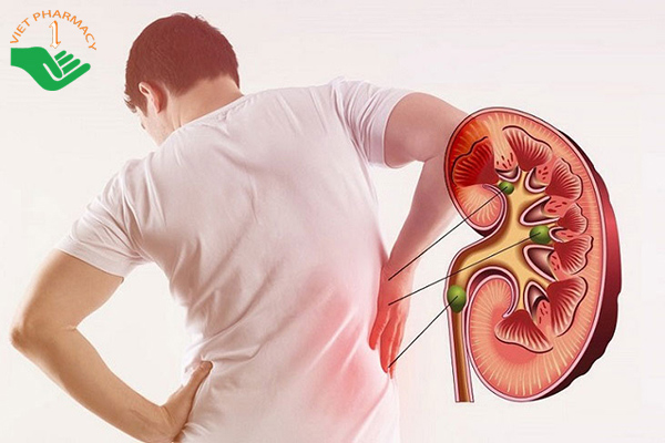 Người bị thận không nên uống tảo biển