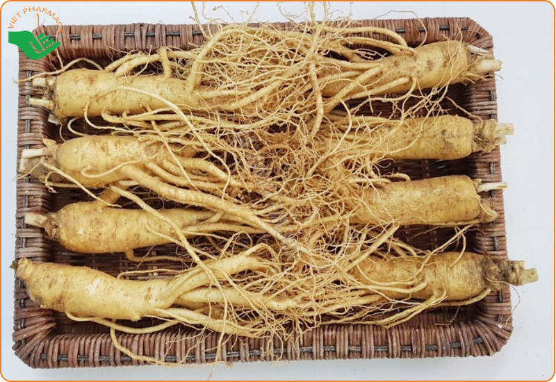 Nhân sâm tươi Hàn Quốc