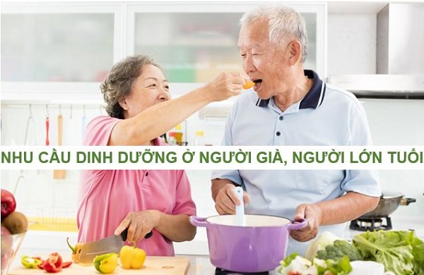 Nhu cầu dinh dưỡng ở người già, người lớn tuổi