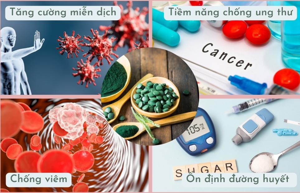 Những công dụng chính của tảo xoắn Spirulina