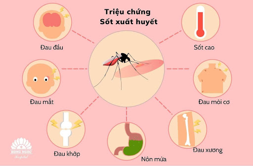 Những dấu hiệu nhận biết sốt xuất huyết