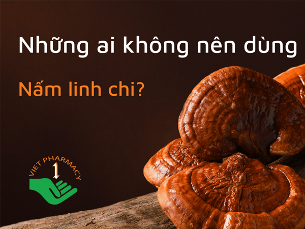 Những ai không nên dùng nấm linh chi