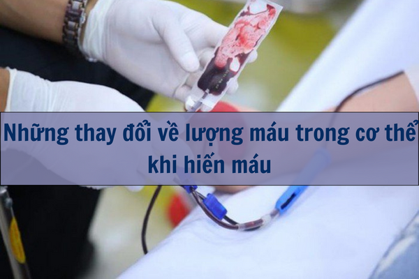 Những thay đổi về lượng máu trong cơ thể khi hiến máu