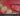 noi-cuc-trong-mieng-khong-dau-thumbnail