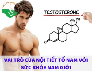 noi-tiet-to-nam-thumbnail