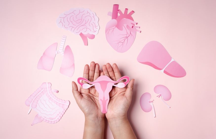 Nội tiết tố nữ ảnh hưởng trực tiếp đến sức khỏe nữ giới