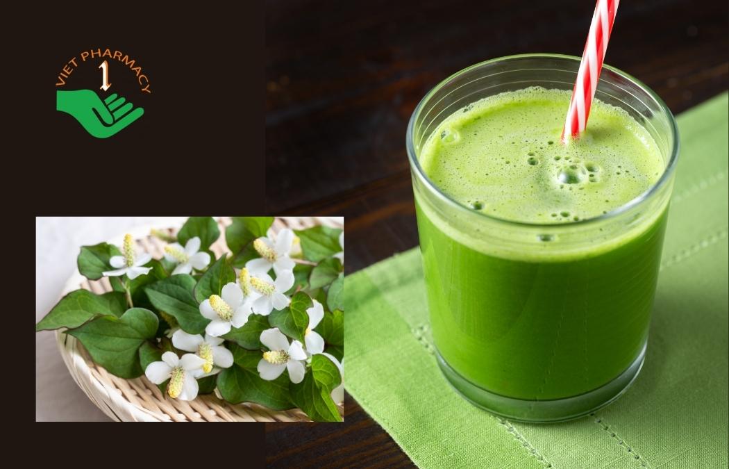 Nước diếp cá - thức uống giúp hạ sốt nhanh chóng