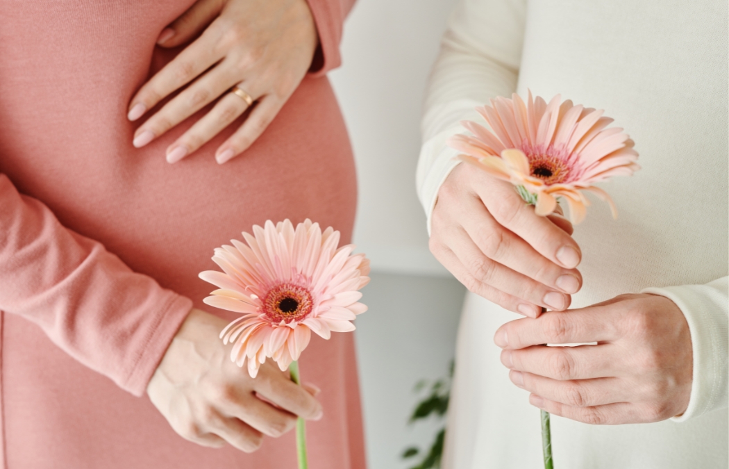 Phụ nữ mang thai và cho con bú không nên uống hồng sâm