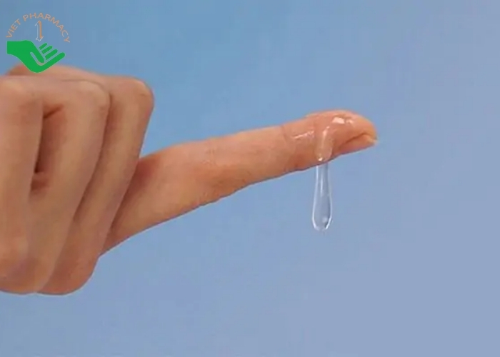Quan sát chất nhầy từ vùng kín