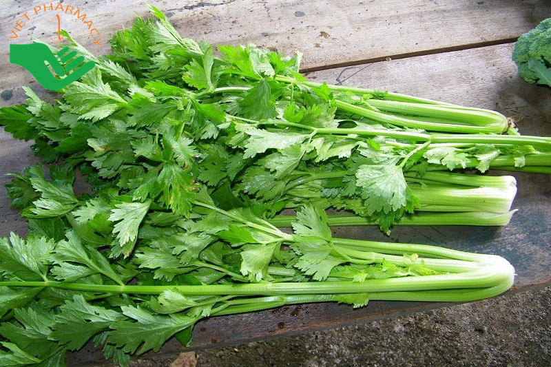 Rau cần tây