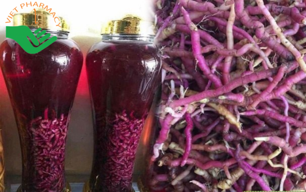 Rượu ba kích