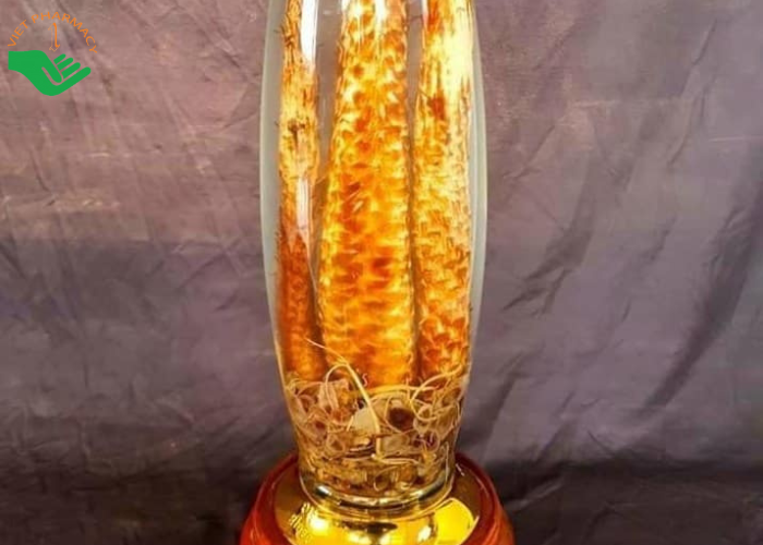 Rượu ngâm nhục thung dung