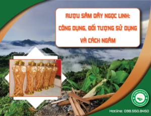 ruou-sam-day-ngoc-linh-cong-dung-doi-tuong-su-dung-va-cach-ngam