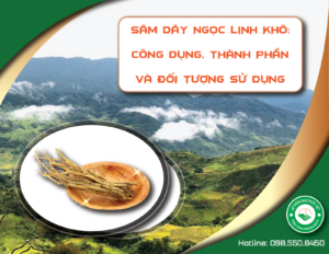 sam-day-ngoc-linh-kho-cong-dung-thanh-phan-doi-tuong-su-dung-1