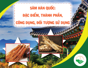 sam-han-quoc-dac-diem-thanh-phan-cong-dung-doi-tuong-su-dung-1