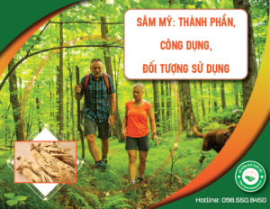 sam-my-thanh-phan-cong-dung-doi-tuong-su-dung