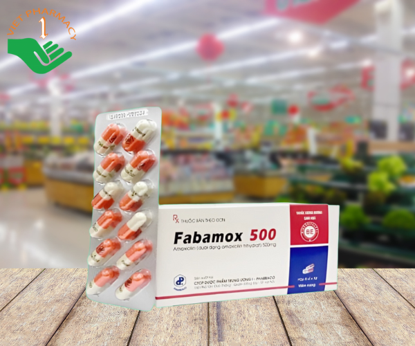 Thuốc kháng sinh điều trị nhiễm khuẩn Fabamox 500