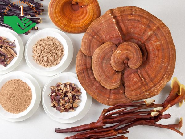 Nấm linh chi giúp mẹ sau sinh không phải lo lắng về vấn đề rụng tóc, tóc yếu