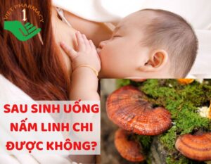 sau-sinh-uong-nam-linh-chi-duoc-khong-thumbnail1