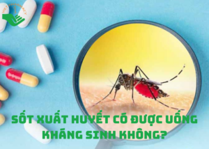 sot-xuat-huyet-co-duoc-uong-khang-sinh-khong
