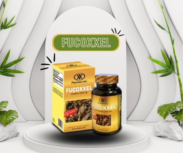 Fucoxxel giúp giảm các tác dụng phụ trong quá trình điều trị ung thư (xạ trị, hóa trị…).