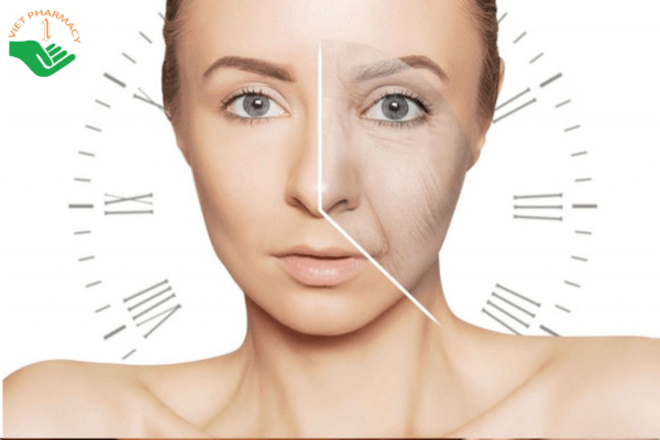 Sử dụng đông trùng hạ thảo giúp ngừa lão hóa