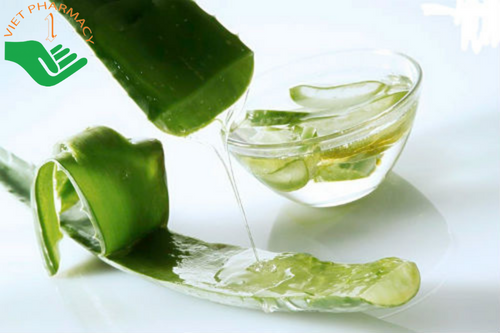 su-dung-nha-dam-chua-mun-nhot Sử dụng nha đam chữa mụn nhọt