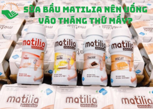 sua-bau-matilia-nen-uong-vao-thang-thu-may1