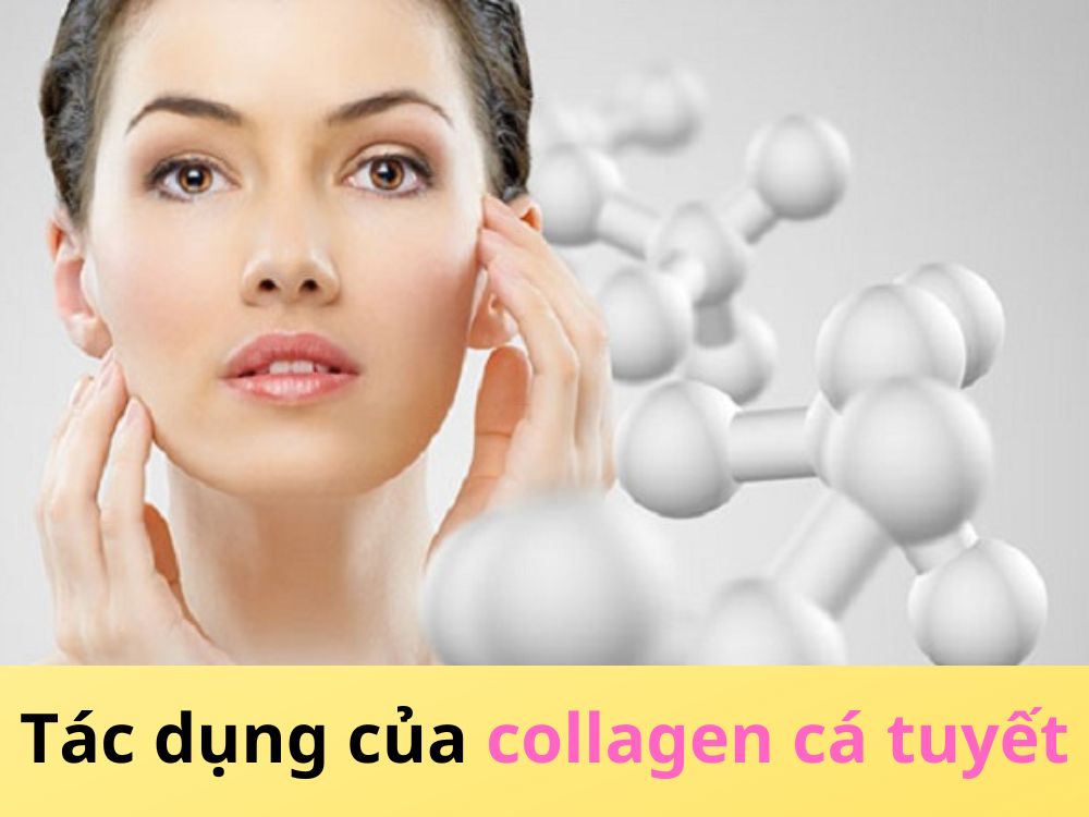 Tác dụng của collagen cá tuyết