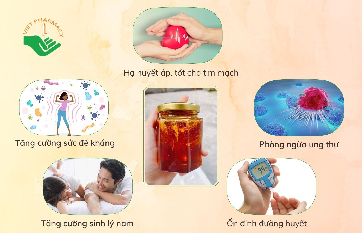 Tác dụng của đông trùng hạ thảo ngâm mật ong