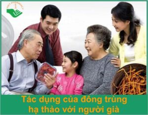 tac-dung-cua-dong-trung-ha-thao-voi-nguoi-gia-thumb