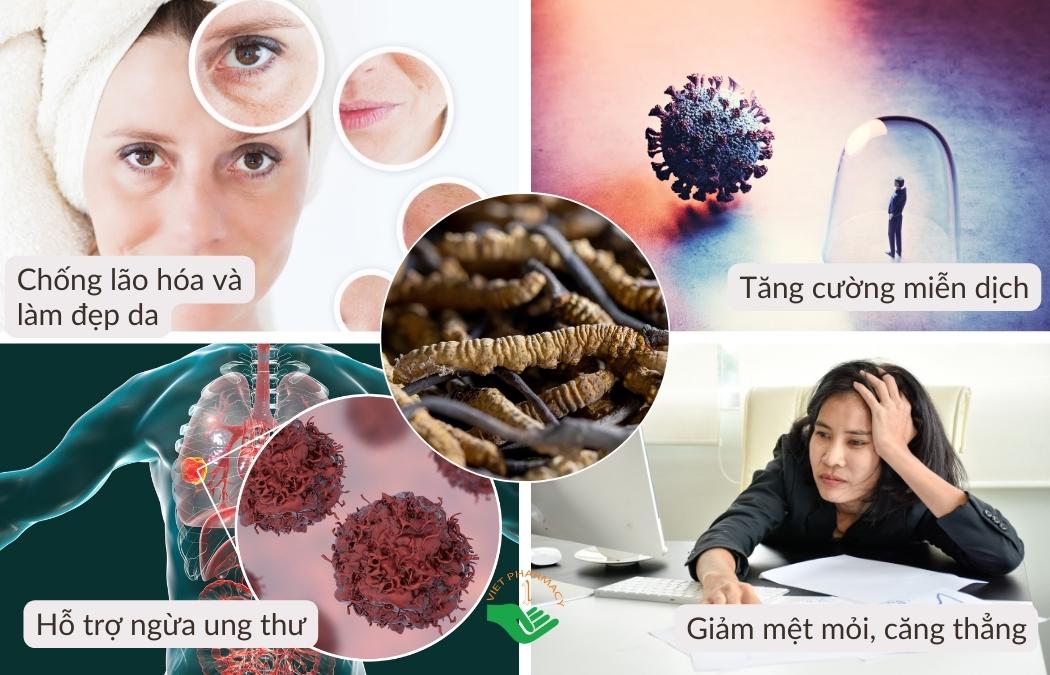 Tác dụng của đông trùng hạ thảo với phụ nữ